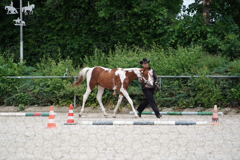 s_A9_06433.jpg